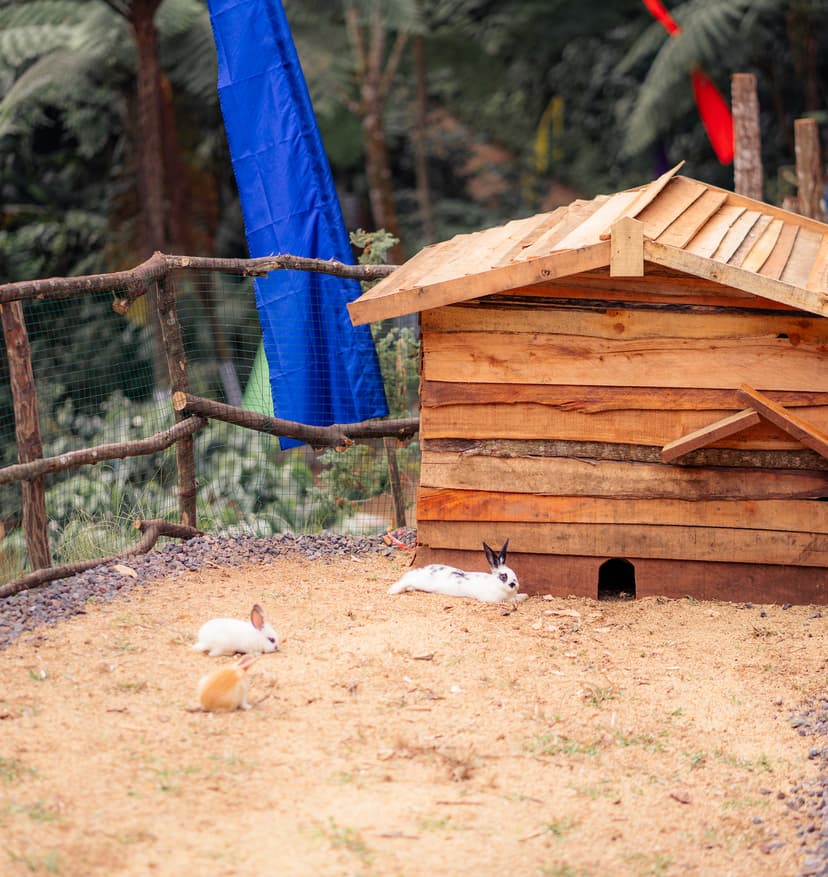 Feed & Bond – Get Up Close with Nature’s Friends!